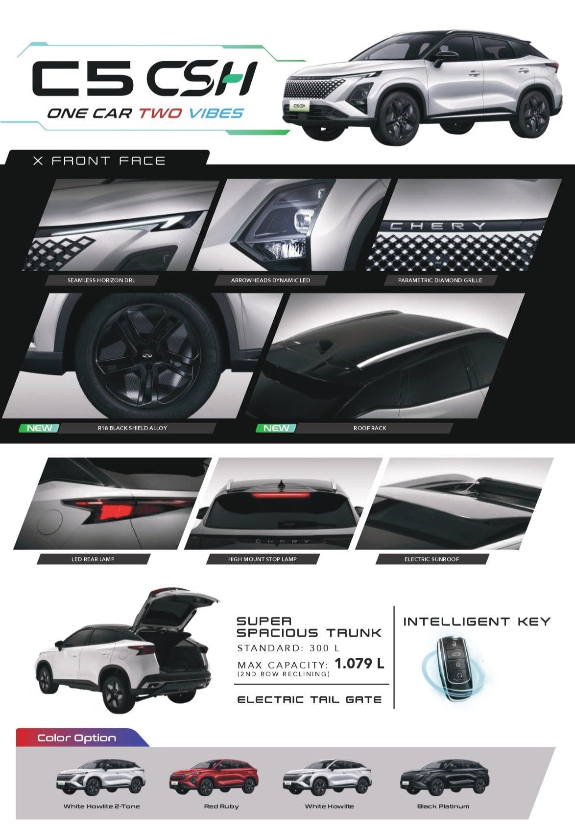 Brochure C5CSH 2026-compressed_page-0001